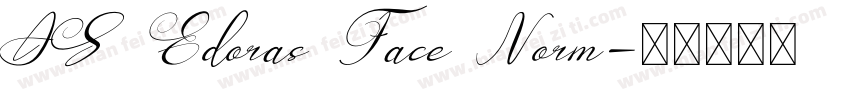 AS Edoras Face Norm字体转换